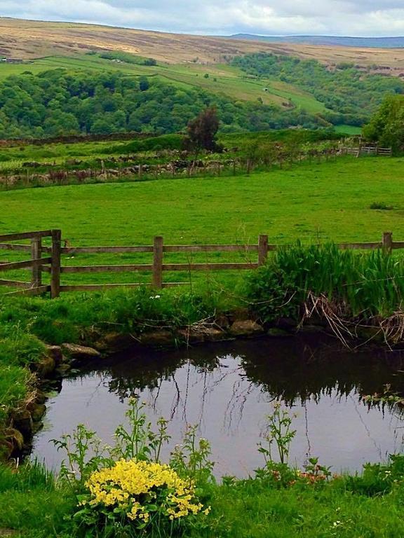 Far Moorside Farm B&B Hebden Bridge Eksteriør bilde